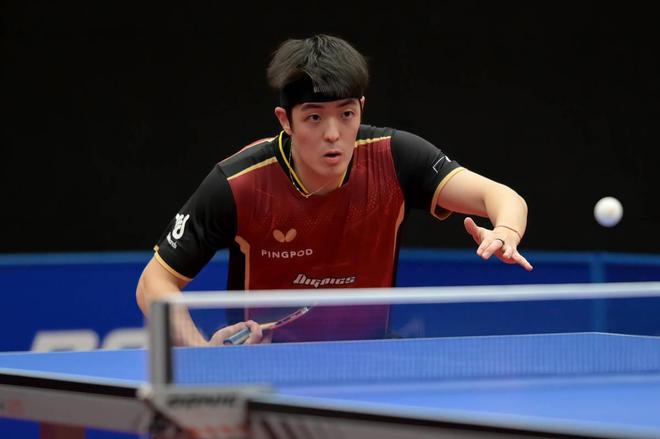 体阵容的化 体阵容的化